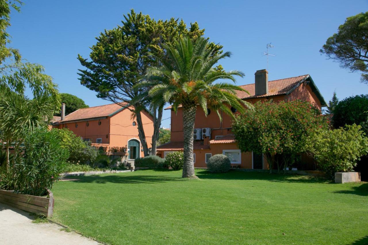 Quinta Da Bicuda Willa *